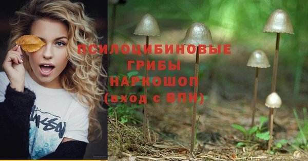 героин Алзамай