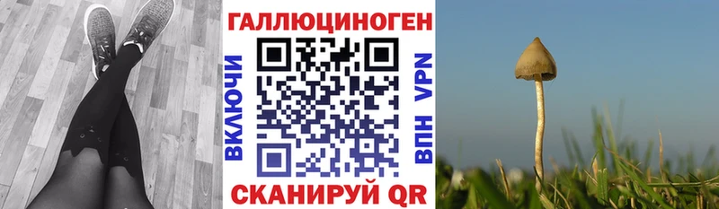 Галлюциногенные грибы Psilocybe  Когалым 