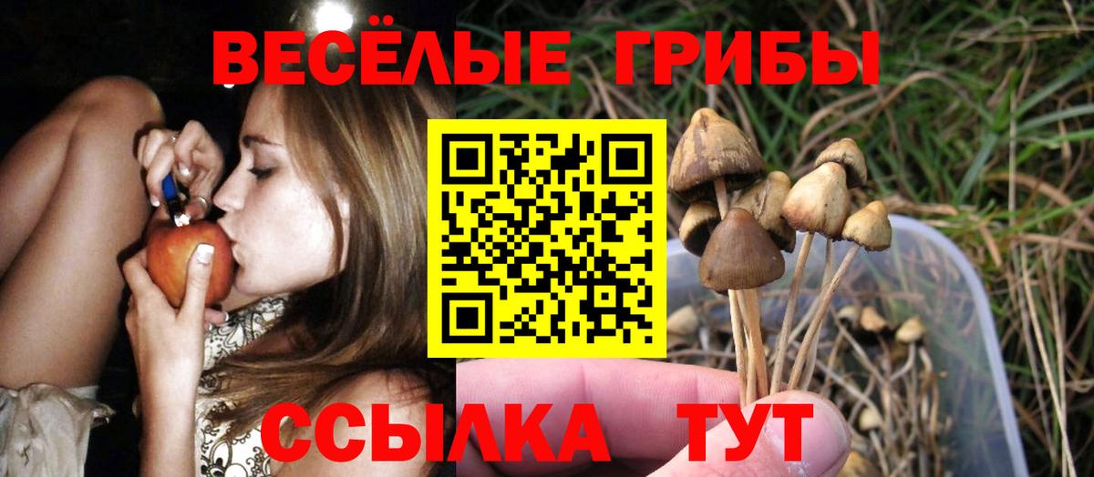 Псилоцибиновые грибы GOLDEN TEACHER Когалым